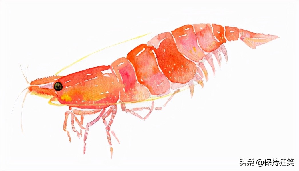 台湾特产排行榜前十名有哪些,台湾必买的十大特产