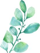 打折又送礼|国际睡眠日梦洁宝贝罗莱儿童给你好睡眠