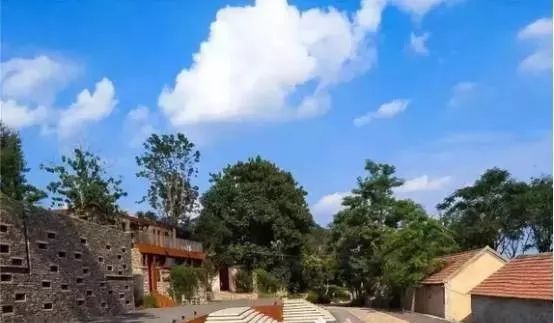 她给破败乡村动了个大手术，2年跨进“后现代”，艺术青年扎堆