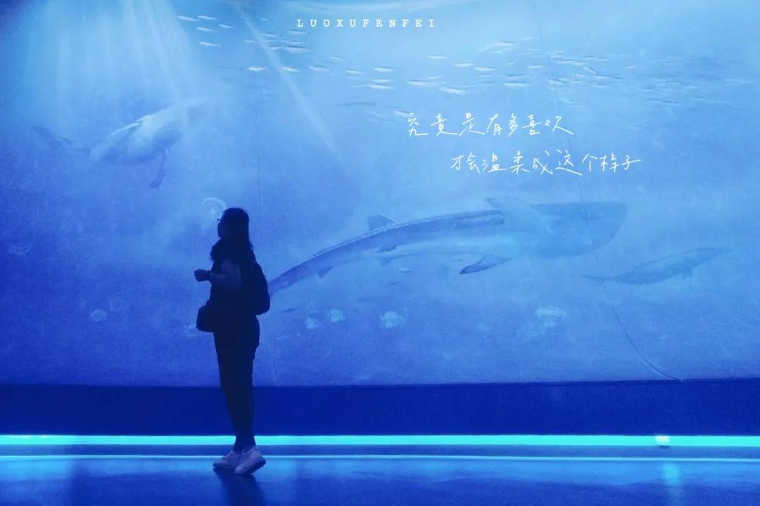 滨海新区海洋博物馆怎样预约,天津滨海亲子游最佳地点