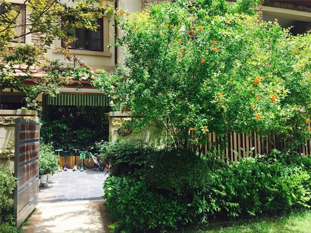 武汉市最贵幼儿园排行榜,武汉最贵的私立幼儿园排名