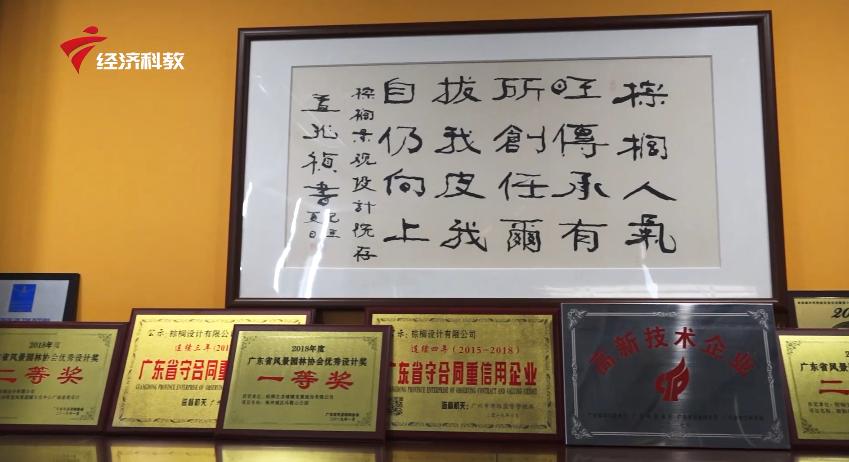 棕榈叶造型设计,棕榈设计公司怎么样