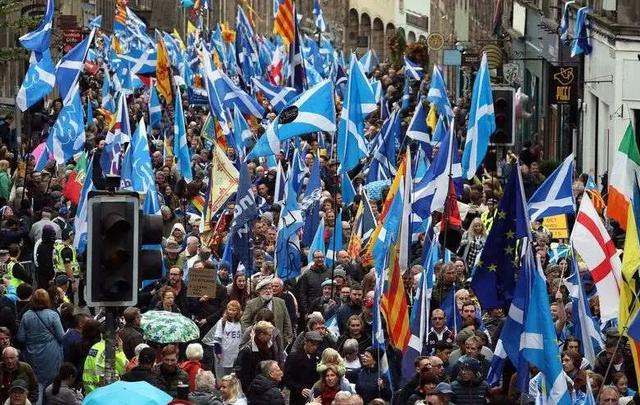 外国到底有多喜欢大熊猫,外国人是有多喜欢大熊猫