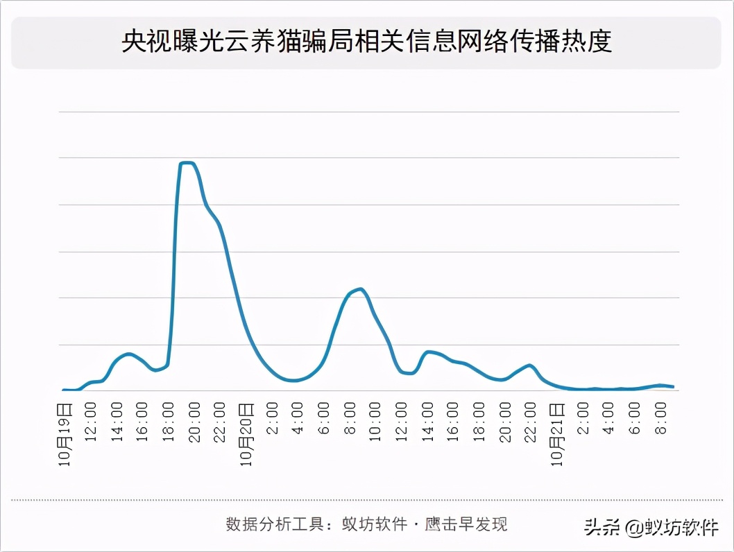 云养猫的弊端,云养猫背后的启示