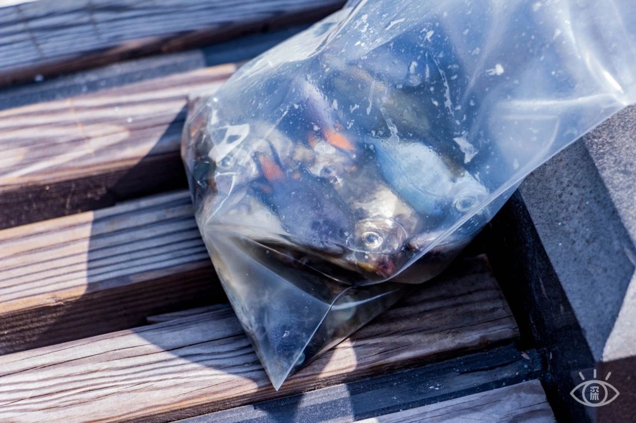 深圳绝美小岛景点介绍,深圳有哪些绝美的海景