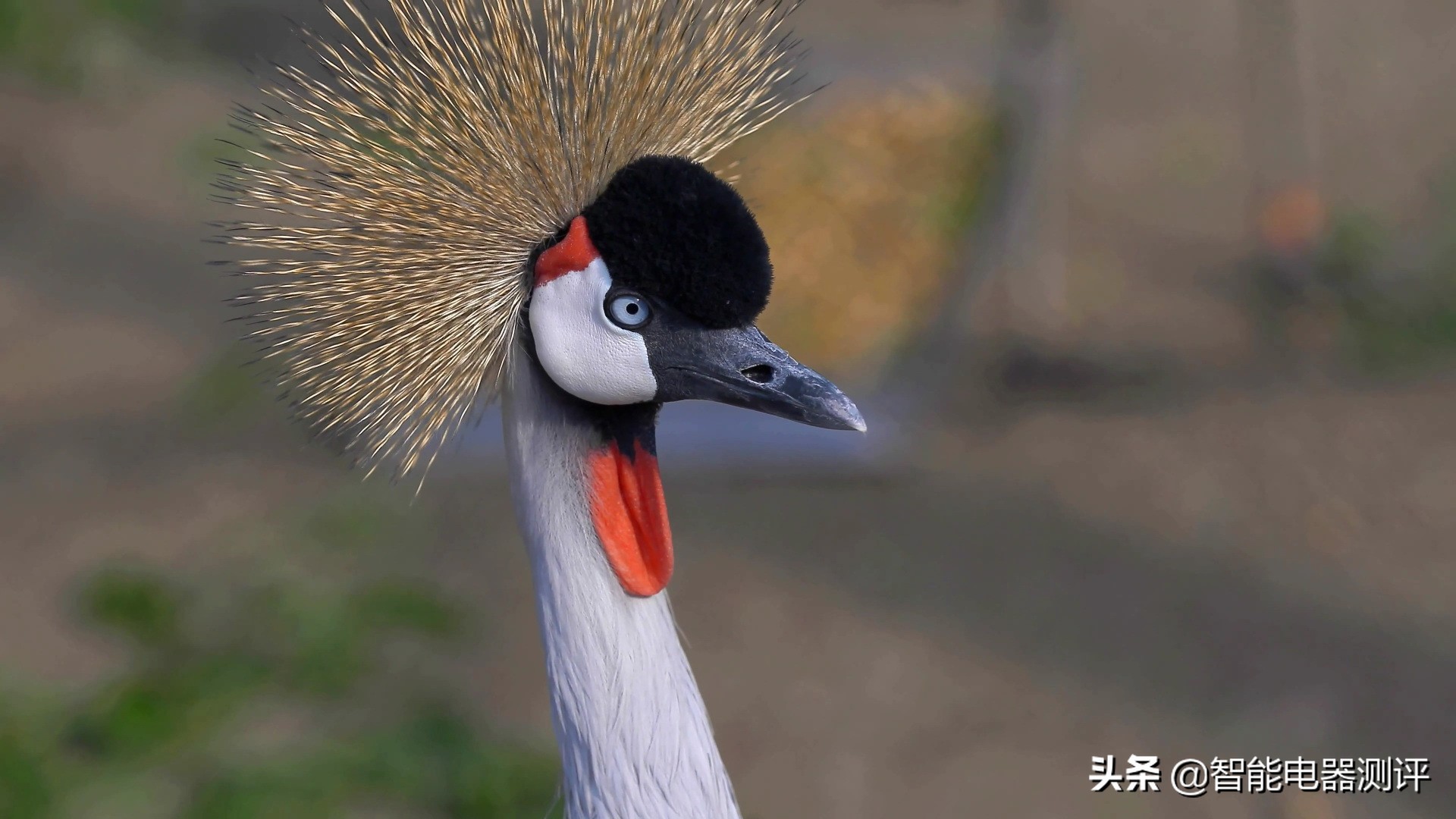 再回首经典,海美迪h7四代和海美迪pro