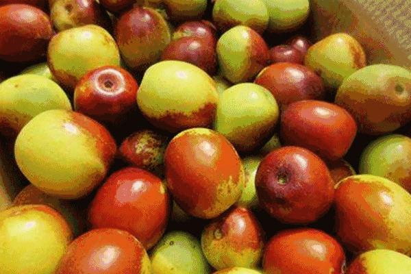 大荔冬枣脆甜多汁,陕西大荔冬枣脆甜爽口2斤装