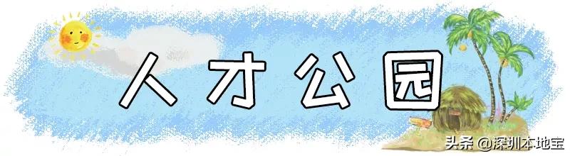 深圳有哪些地方免费景点,深圳都有什么景点免费游玩