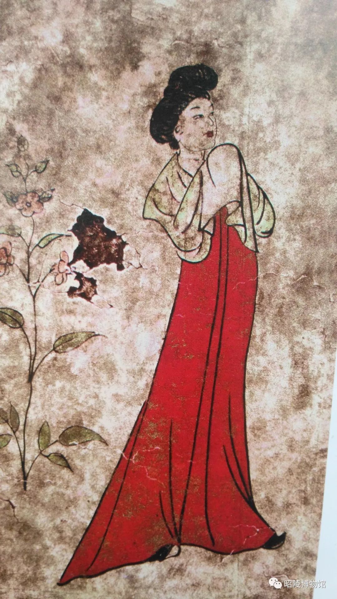 唐朝襦裙女,唐代襦裙装