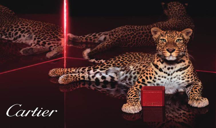 卡地亚牛头款钻石项链玫瑰金,卡地亚蓝气球钻石款式