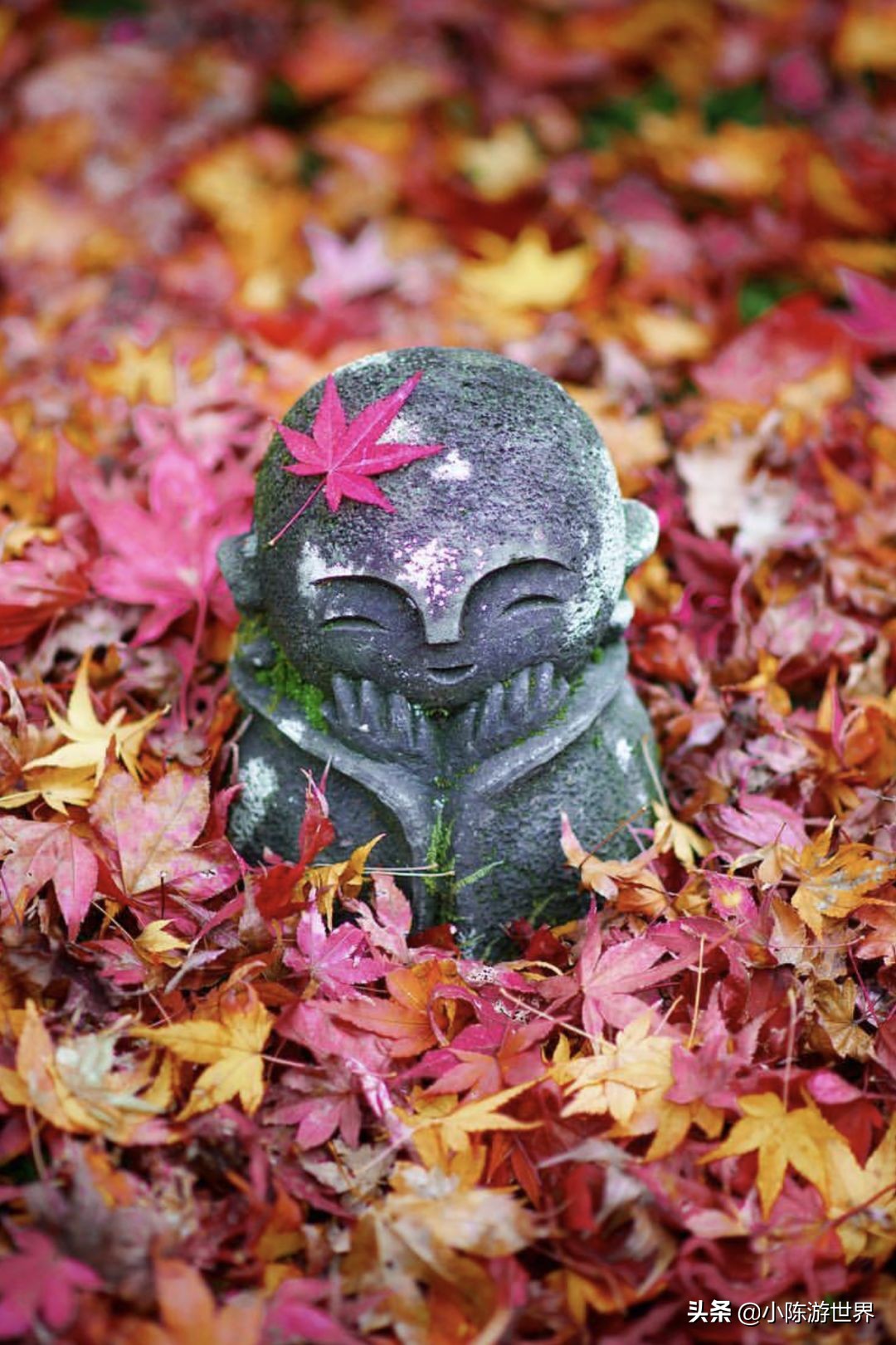 日本赴华旅行,日本赴中国旅游