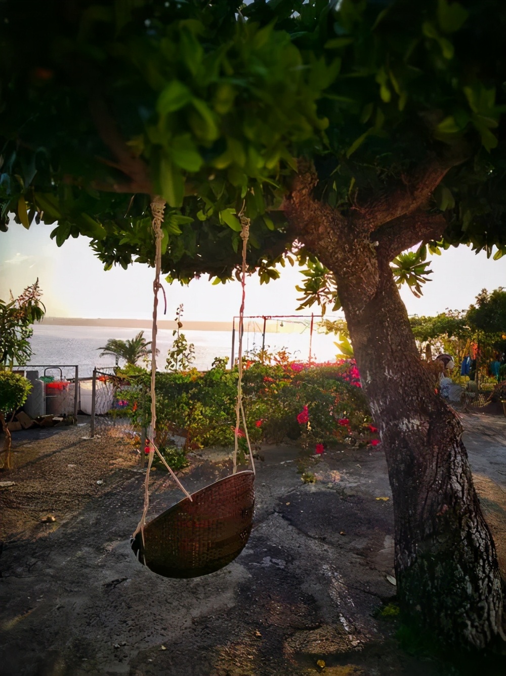 唯美景不可辜负诗词,荡秋千很美的风景