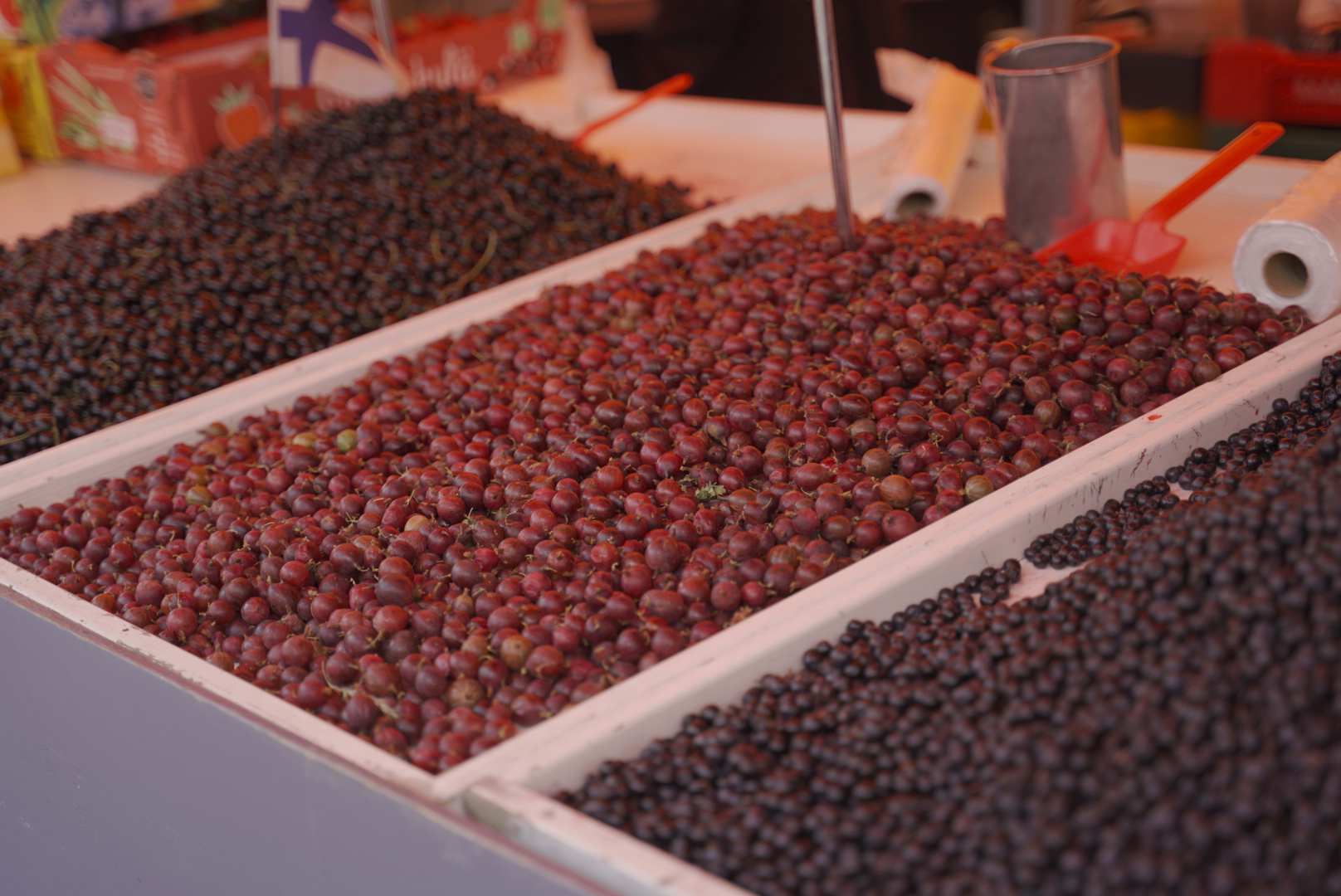 北活游记|来源于自然的食物，都比想象中的更美味，比如芬兰