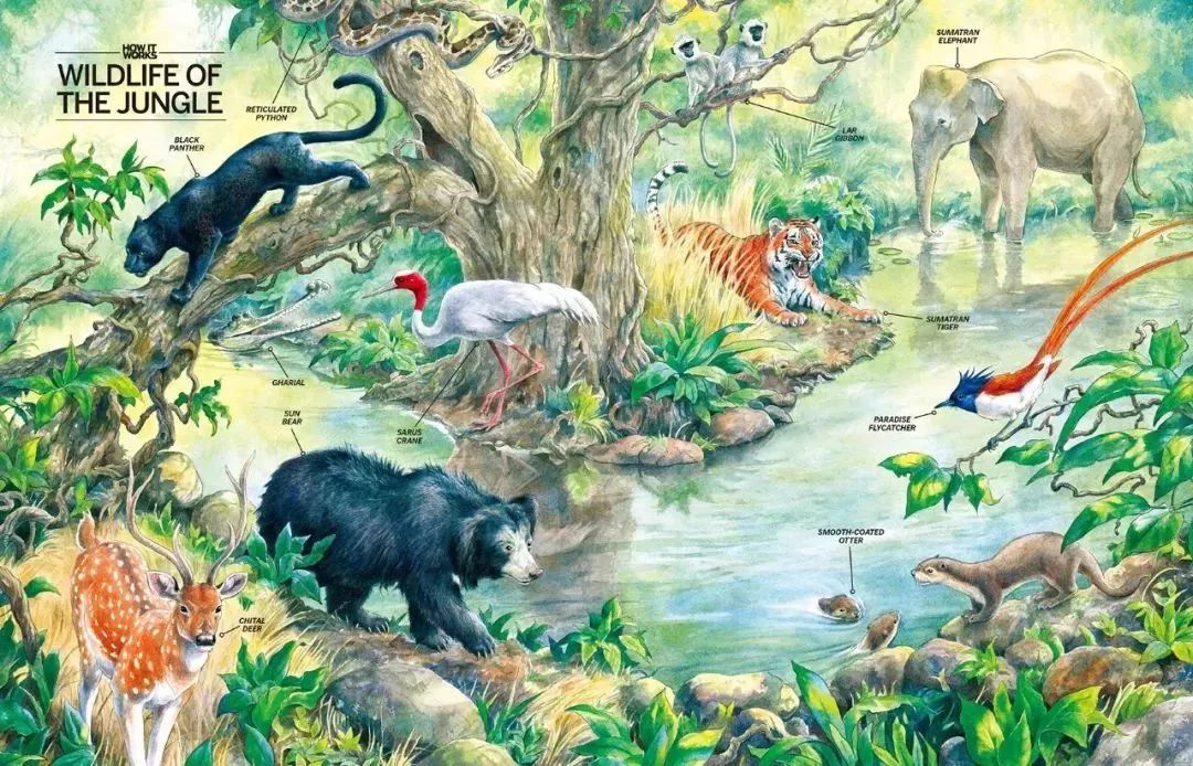 中国科学十大科技进展,中国科技进步有哪些