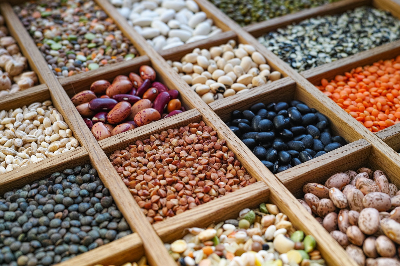 粮食水分检测技术现状分析,粮食水分检测的目的