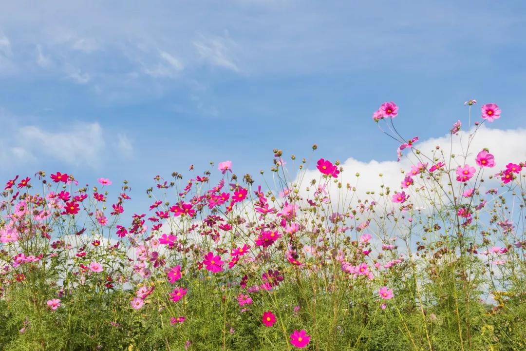 河北被遗忘的古城,河北被遗忘2000年的古城