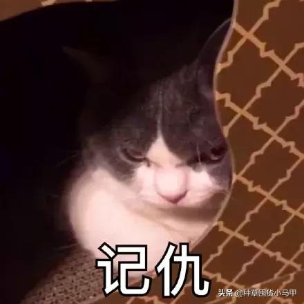 实体店被举报卖假货,专柜售假是真的吗