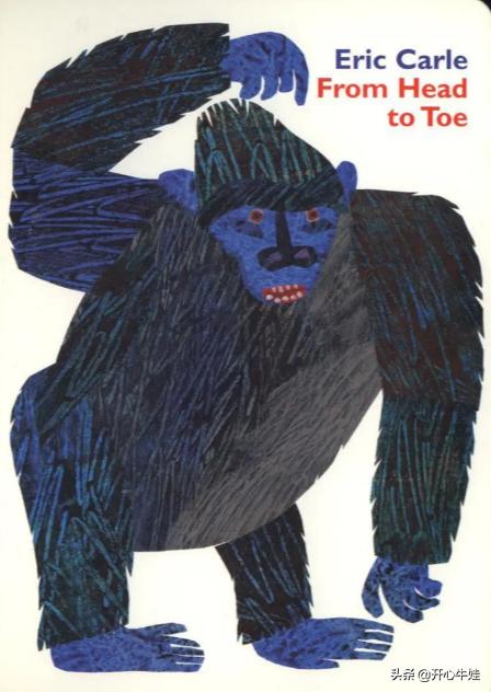 经典的英文绘本fromheadtotoe,fromheadtotoe英语绘本原文