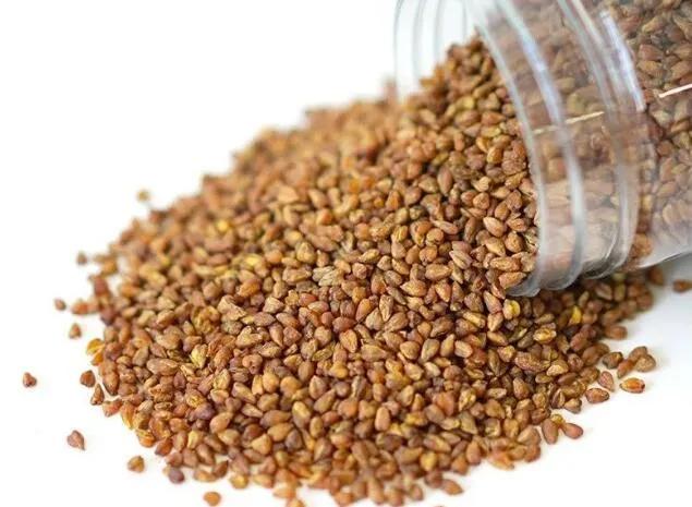 黑珍珠黑苦荞茶四川大凉山荞麦茶,威宁黑苦荞胚芽茶