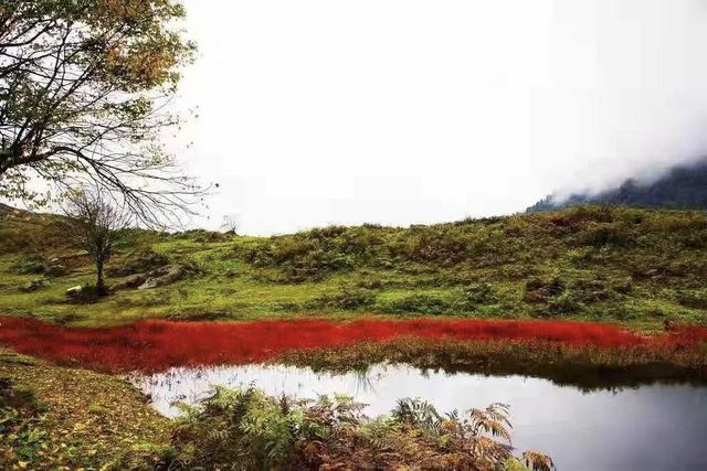 红了！黑竹沟迎颜值巅峰快去穿越五彩童话世界