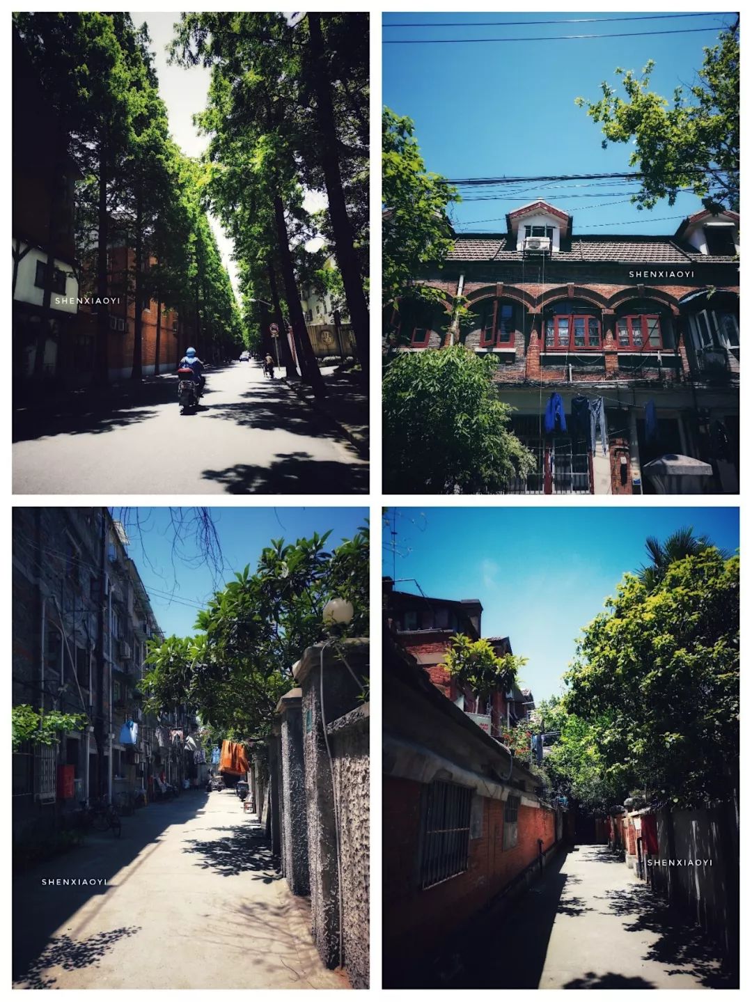 一上午走了1万步，探访5家人气爆棚的小店，不但吃撑还差点被人打