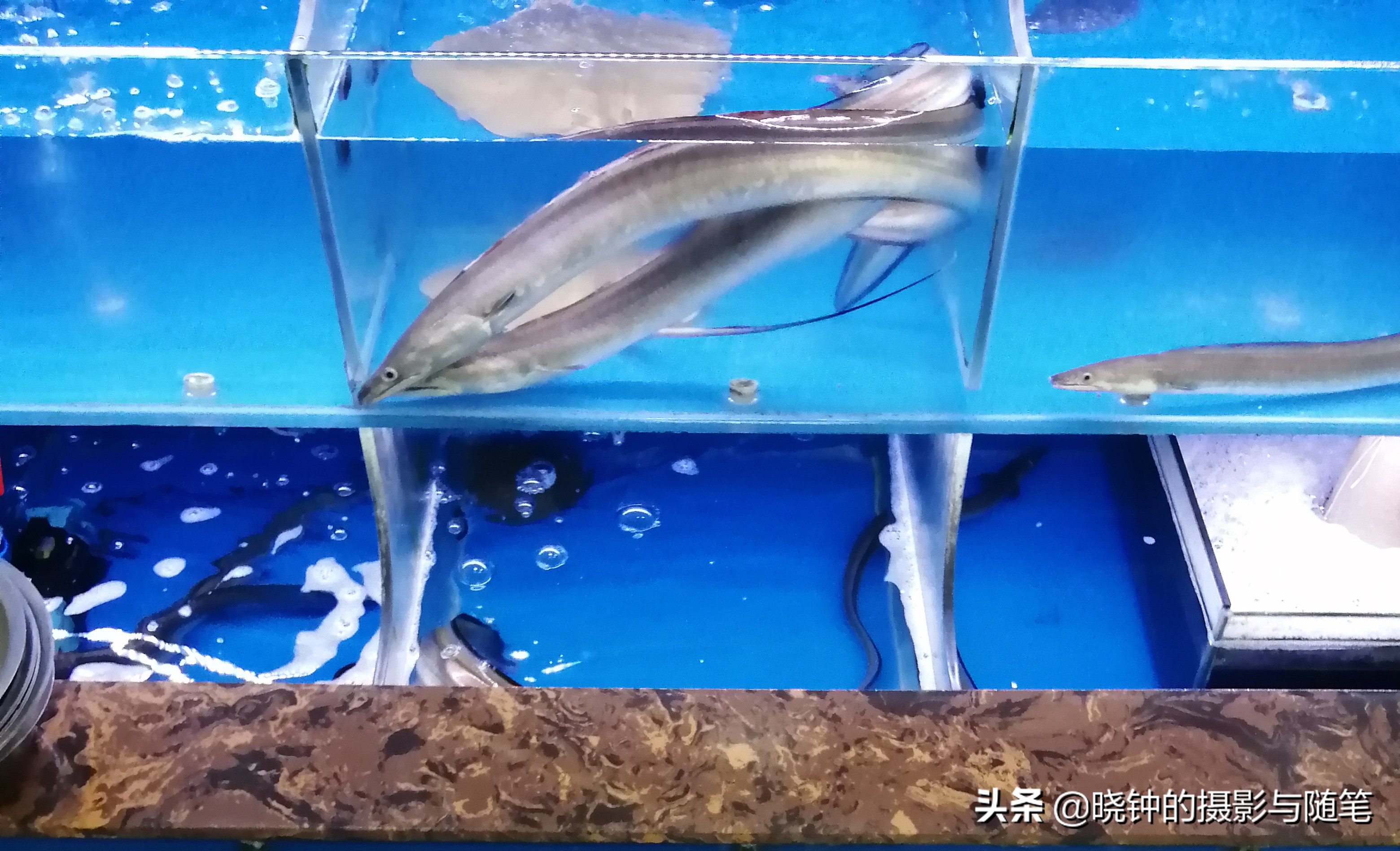 舟山海岛慢生活,生活在浙江舟山的真实感受