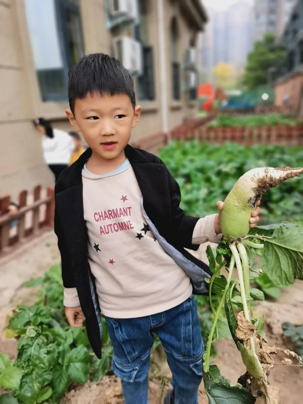 高新区汇爱国际幼稚园,高新区汇爱幼稚园的日常生活