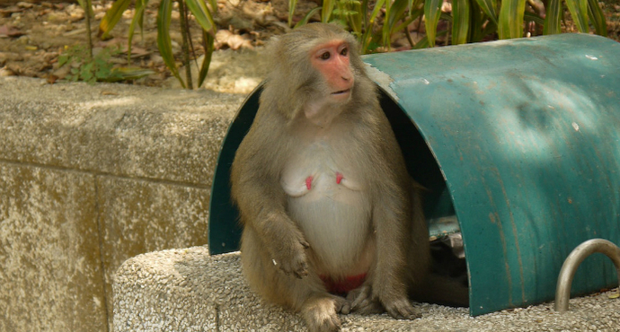 有人要去台湾的果贸小区拍照，停了5分钟拍了2张照片还说去的值