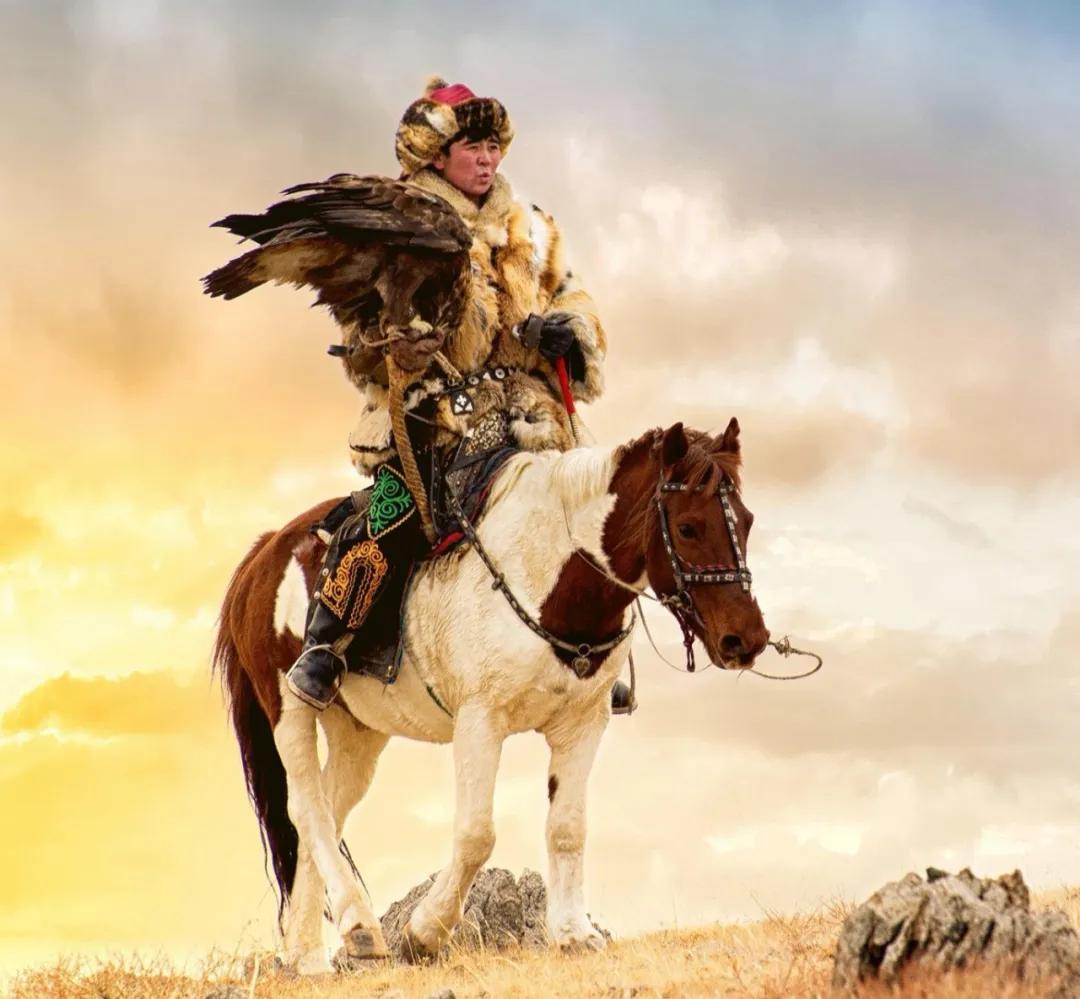 日本蒙琉洗发水,蒙古防掉发洗发水