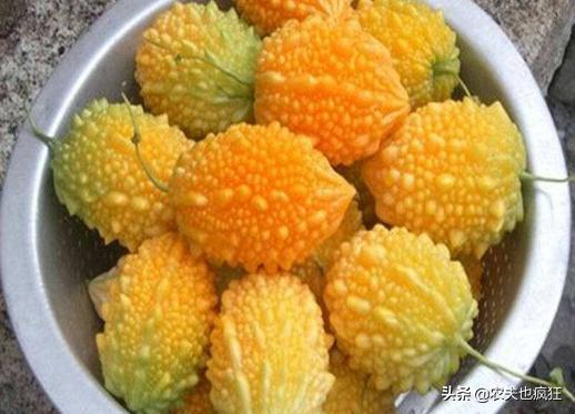 产自印度的食材,原产印度的农作物