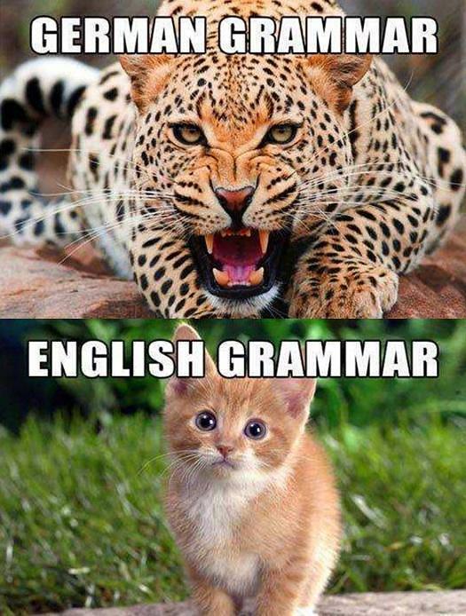 怎么学习德语的最快方法,每天一分钟轻松学德语