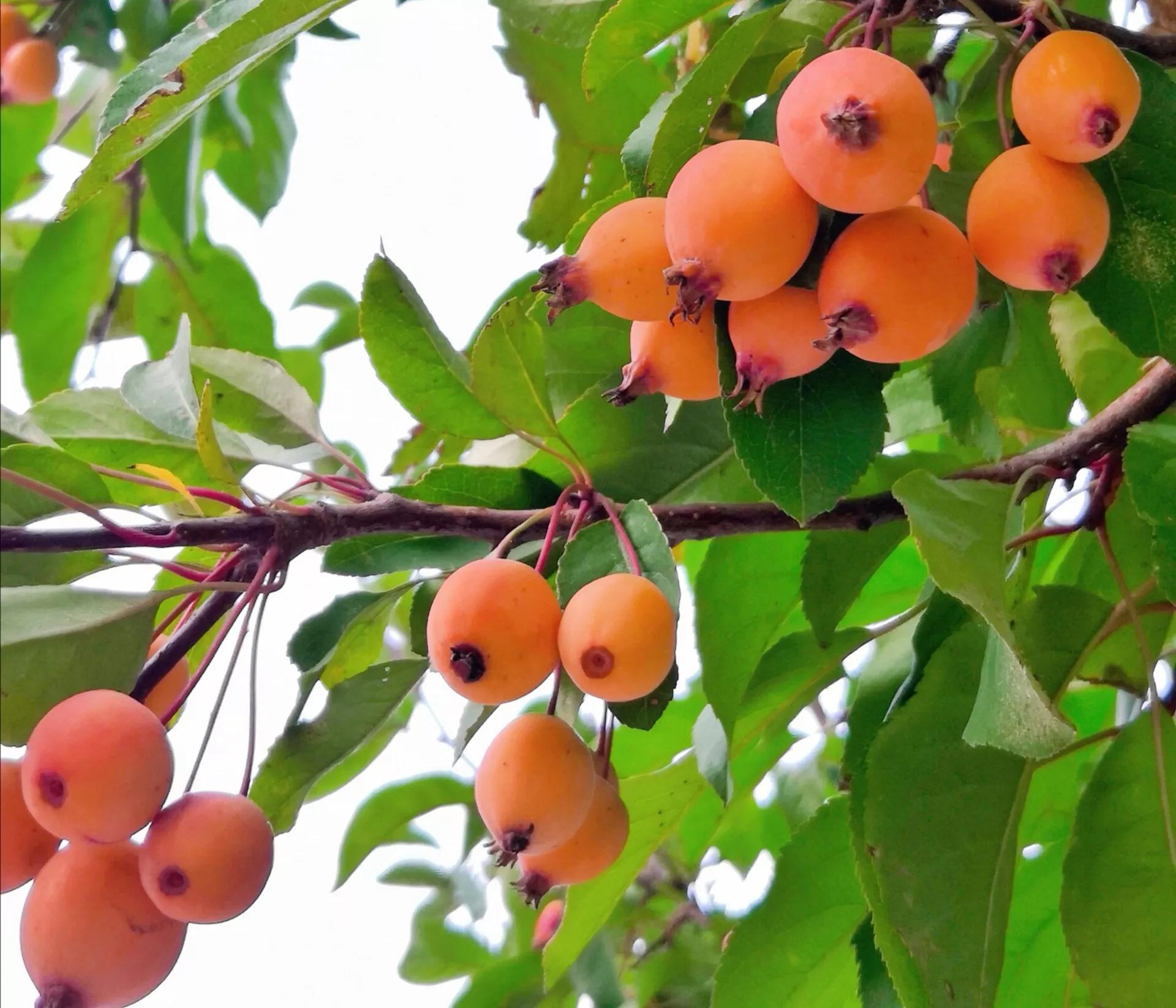 众创网校简介,众创网校官网