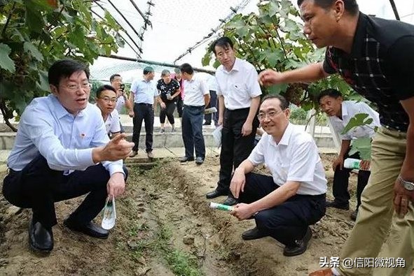 信阳反腐,信阳反腐败案例