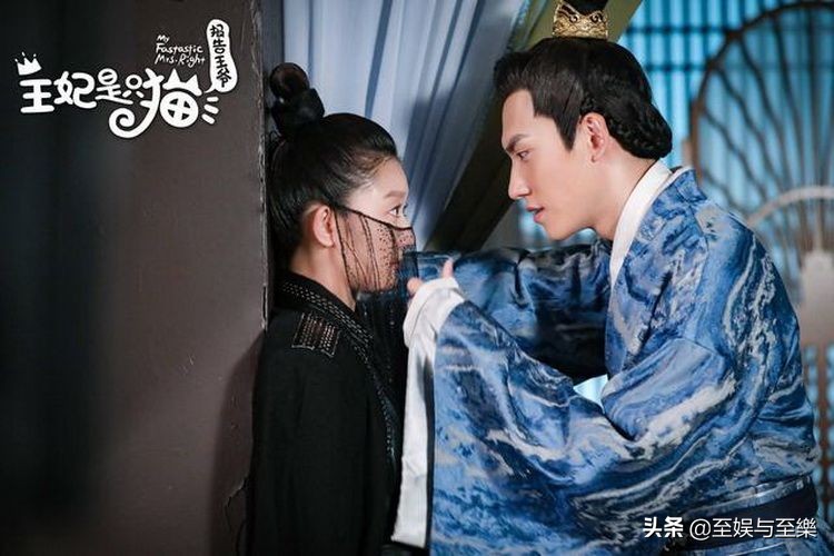 报告王爷王妃是只猫高甜片段,报告王爷王妃是只猫超甜片段