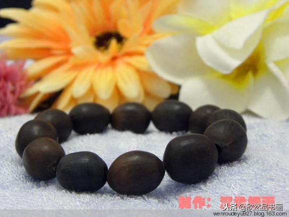 菩提子种类与寓意,手把件菩提子种类