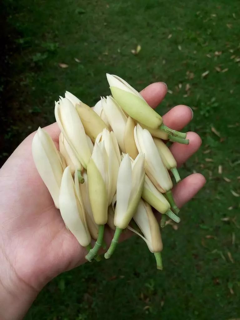 “我是女同性恋，爱上了直女”