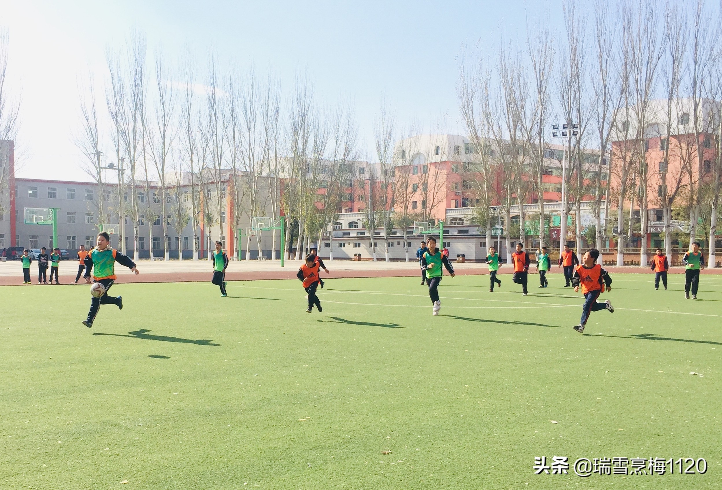 新城子街第一小学喜报,厉害杨浦足球小将斩获市运会冠军