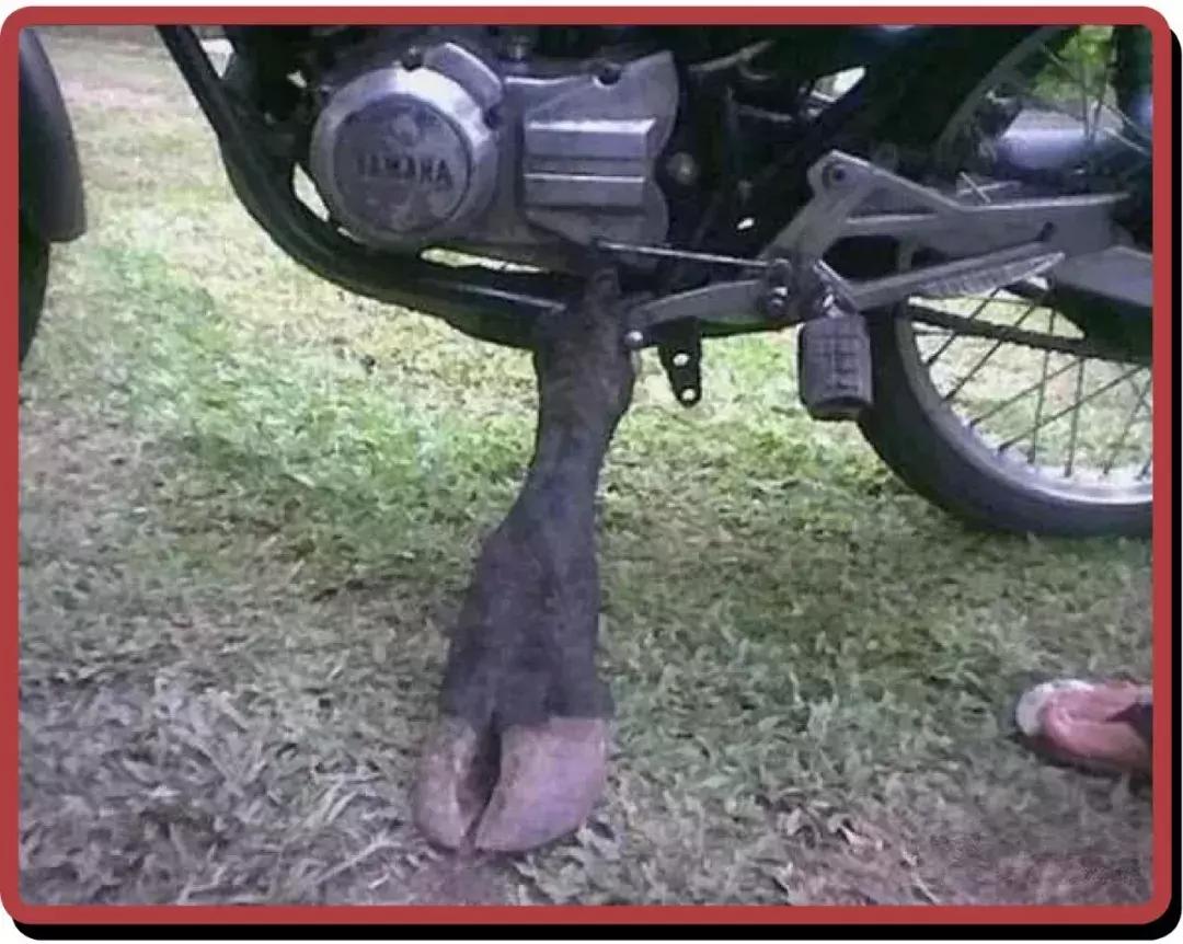 非洲黑叔叔的人体物流有多猛?