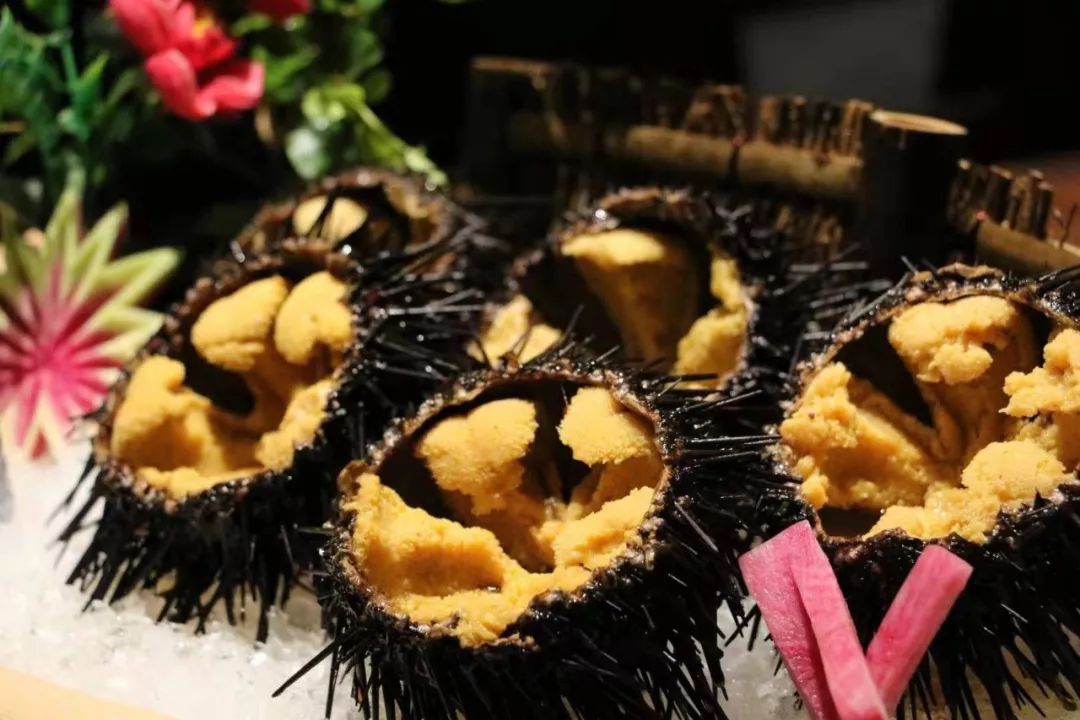 渔川禾优惠券,渔川禾精致日料自助青岛