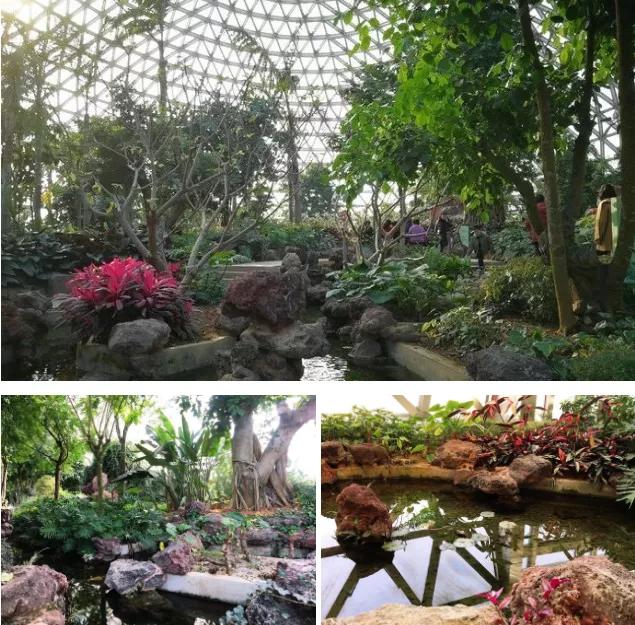 藏不住了！国庆苏州这片花海美哭了！大人小孩玩到不想走