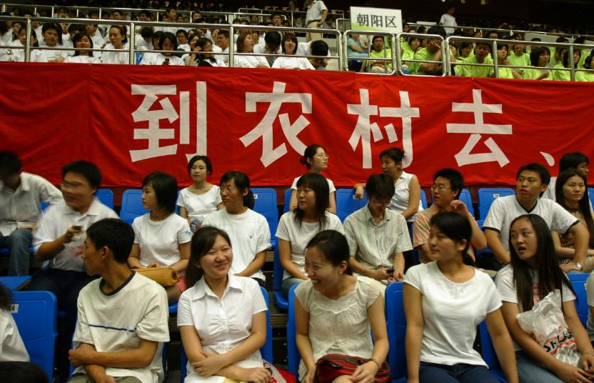 各省市选调生培养现状问题,四川紧缺选调生真实状况