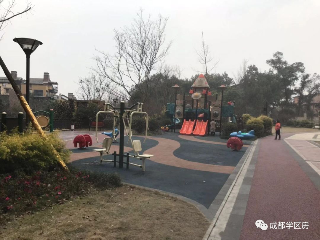 华侨城小学配套什么中学,华侨城对口小学