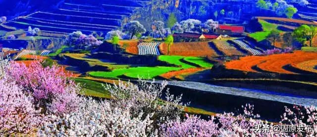 70年·夸夸我的城｜固原：吾心安处是吾乡，蓄势待发未来可期！