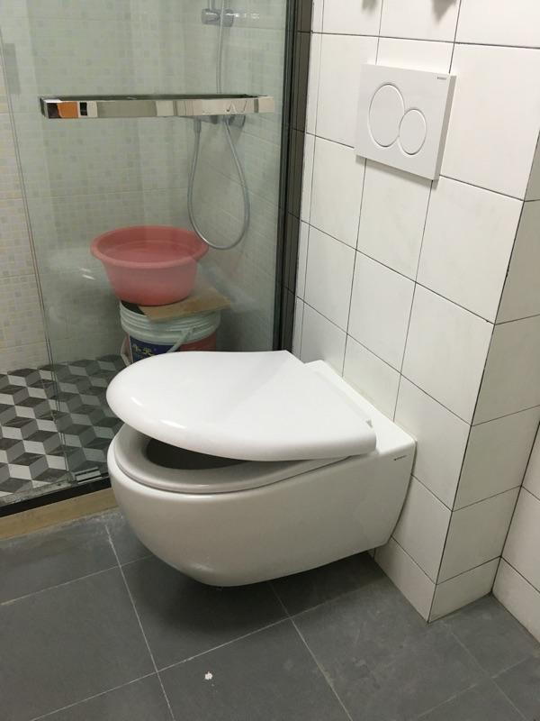 壁挂马桶这么火，为啥很少家庭会用？听完专家分析，总算明白了