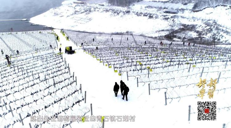 东北人才懂,东北人才懂的味道