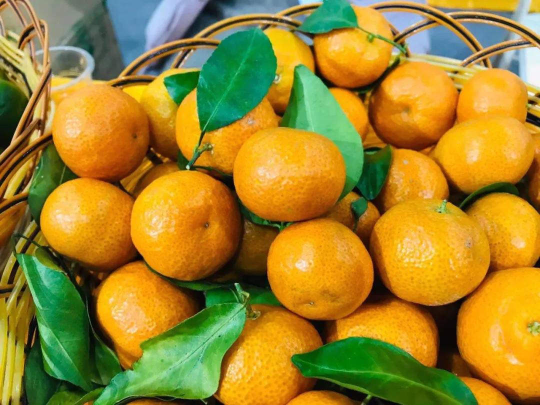 第19届农交会上的这些名特优农产品火了，有你家乡的吗？