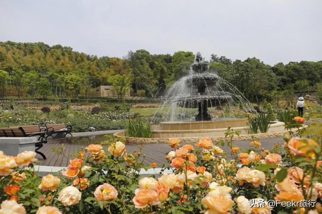 五一莫奈庄园一日游,五一不出游在家门口看风景