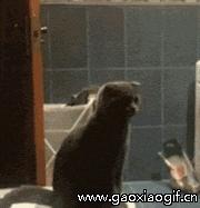 搞笑gif动图国足,武磊单刀射守门员gif动图