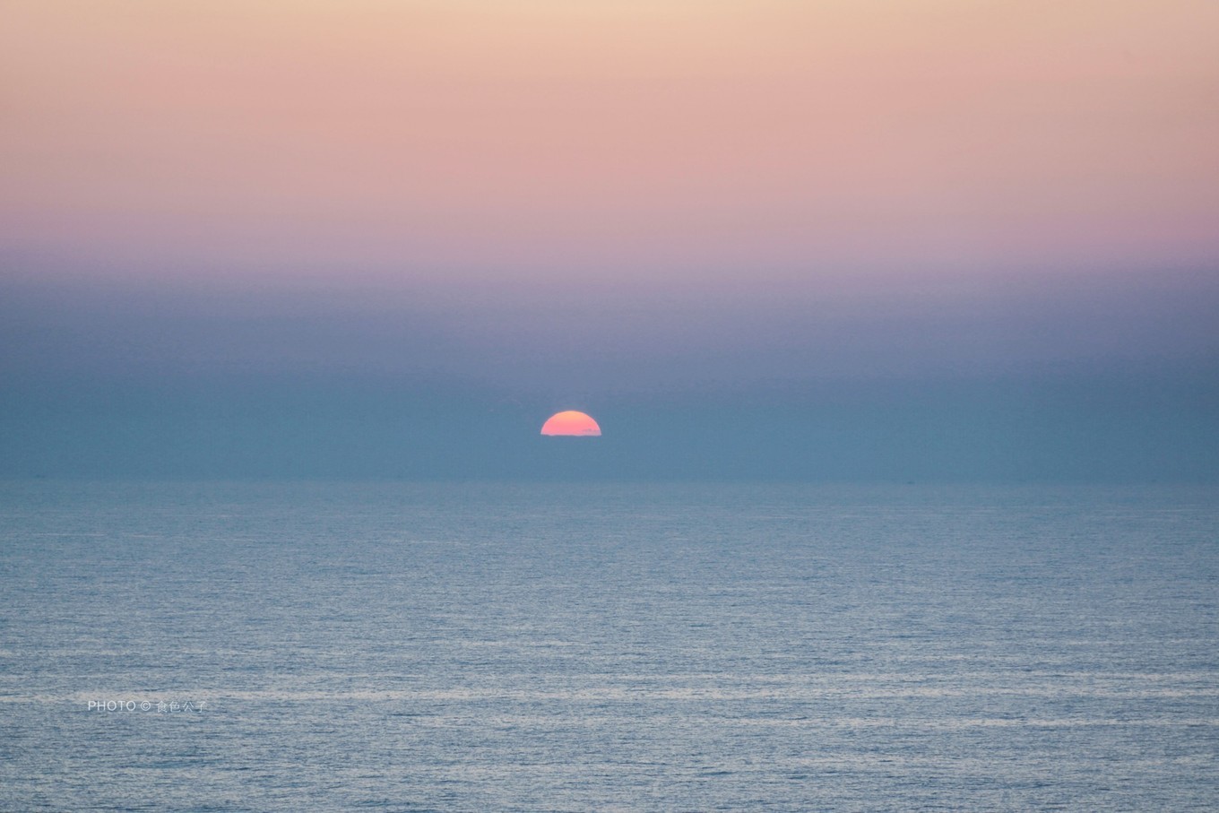 邮轮像海上养猪场,海上养猪场不负盛名