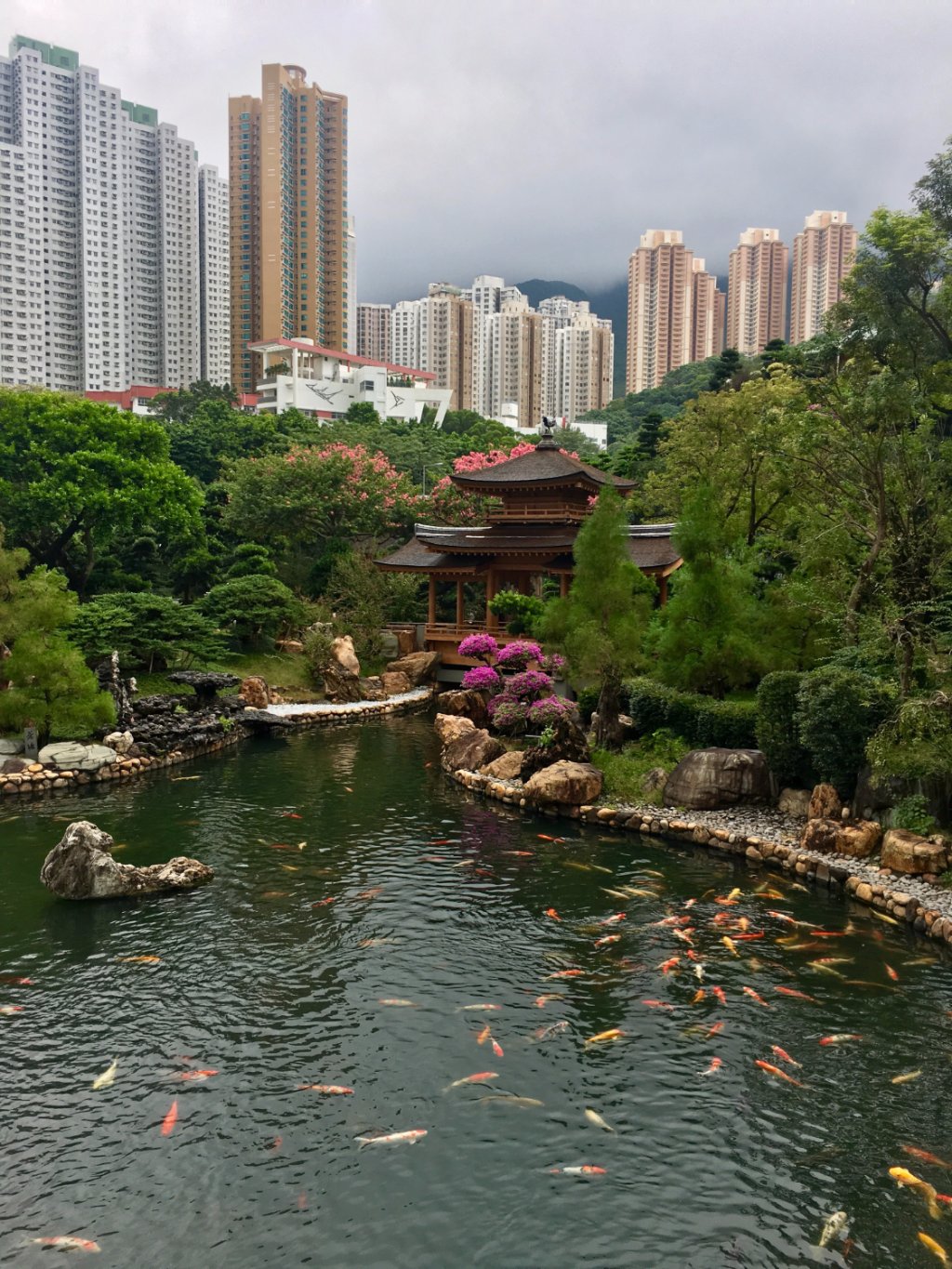 香港志莲净苑地图,香港志莲净苑好玩吗